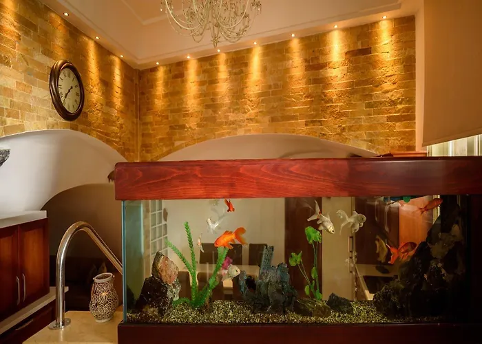 别墅 圣托里尼之家别墅